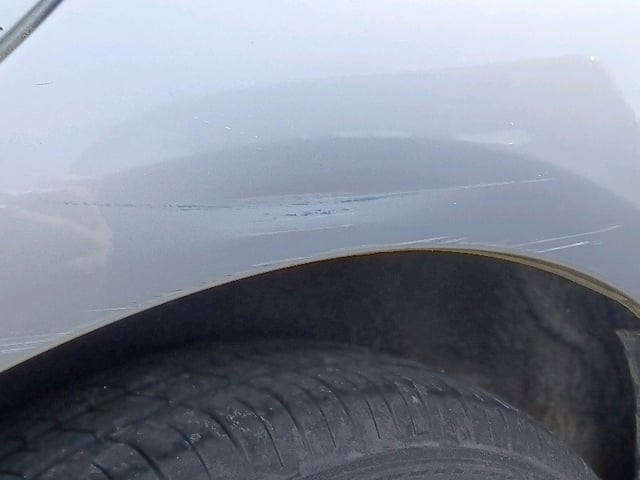 281.jpg