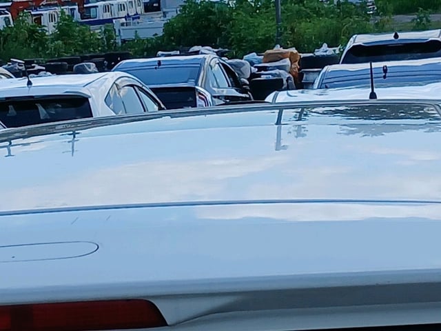 281.jpg