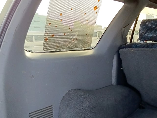 289.jpg