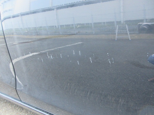 281.jpg
