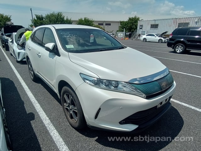 f.jpg