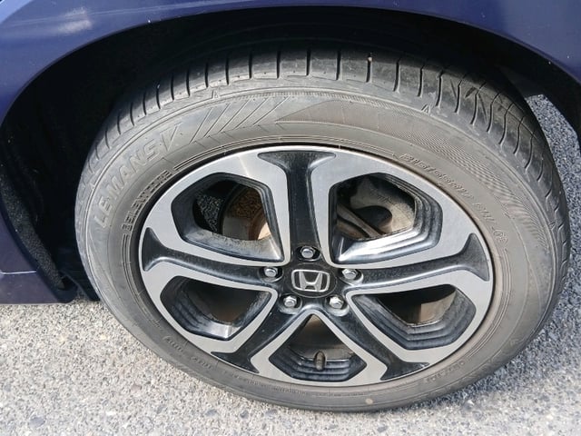 295.jpg