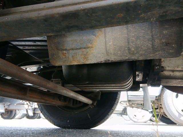 295.jpg