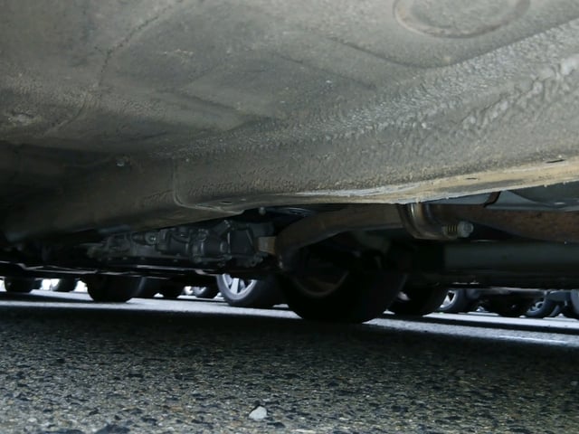 295.jpg