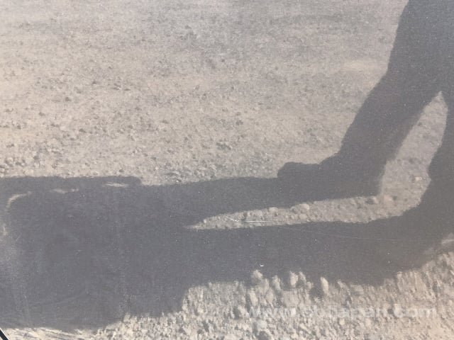 41.jpg