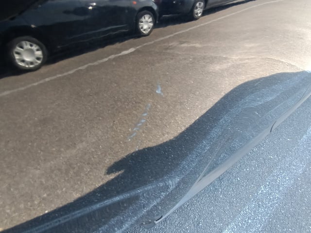 289.jpg