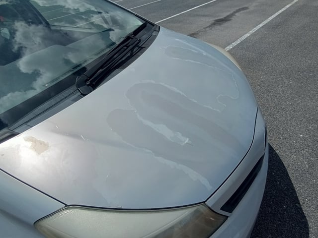 280.jpg