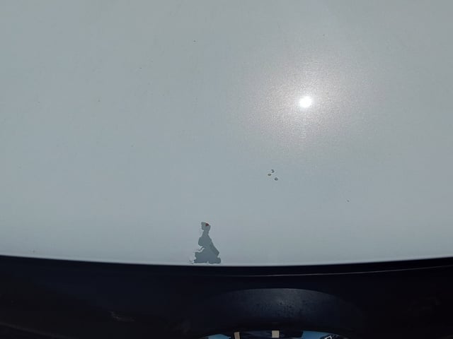 285.jpg