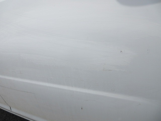 283.jpg