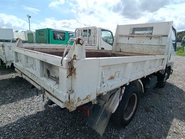 299.jpg