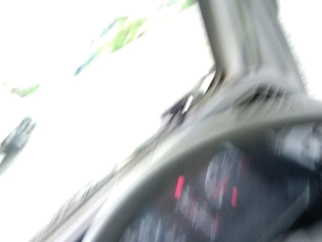 290.jpg