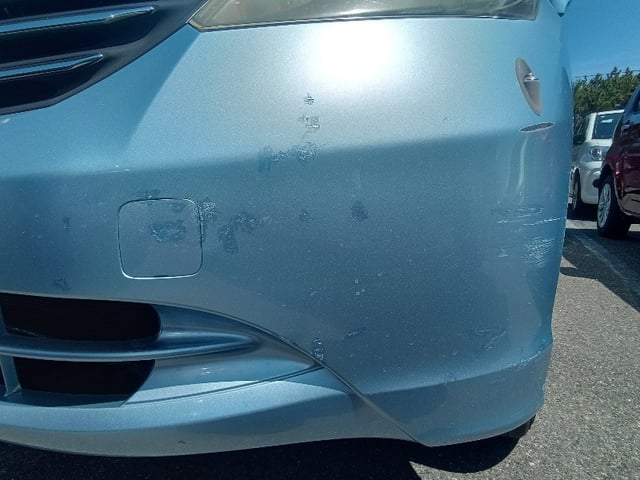 285.jpg