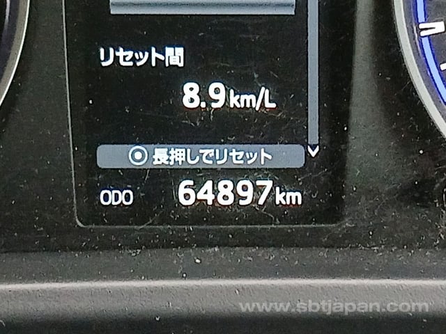 43.jpg