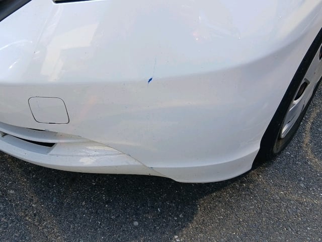 282.jpg