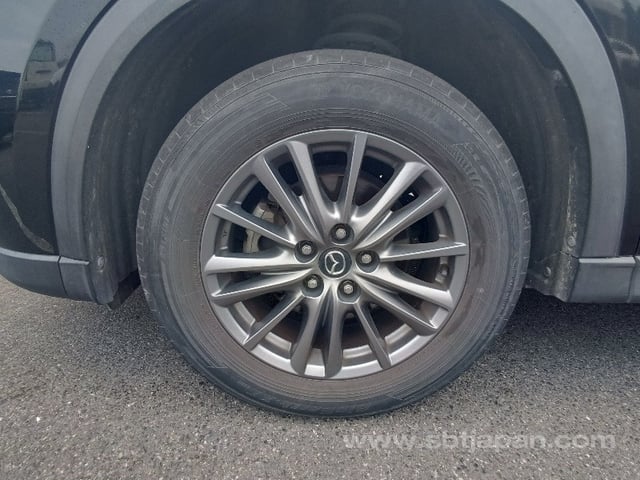 31.jpg