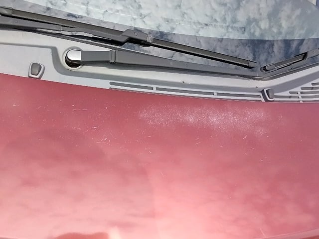 283.jpg