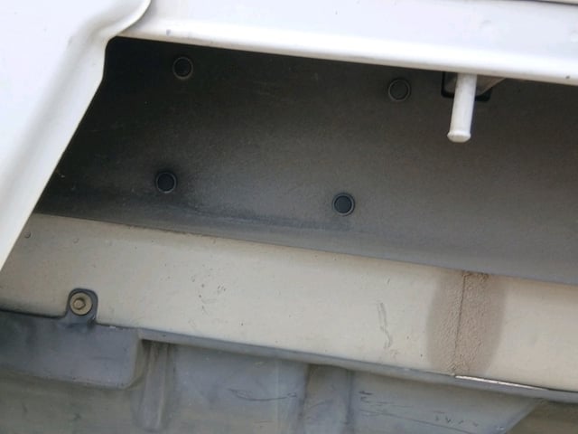 295.jpg