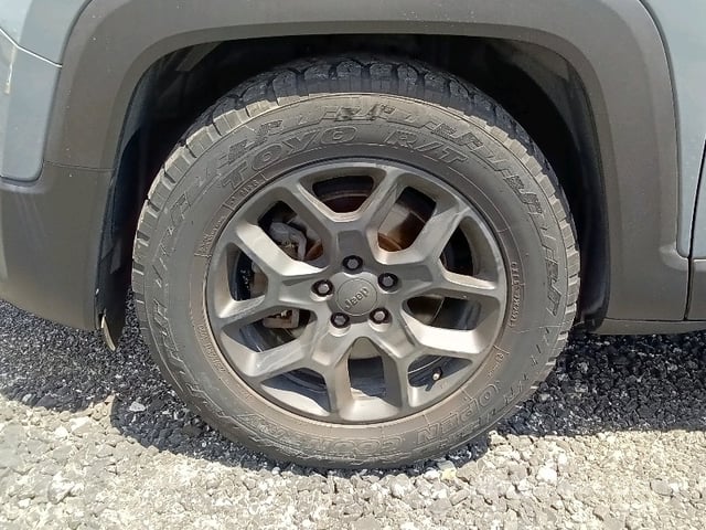 41.jpg