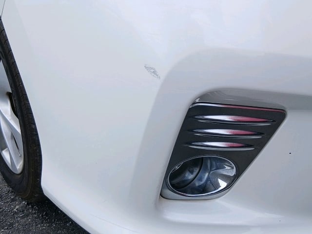 300.jpg