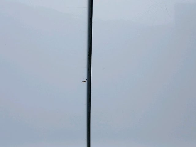 302.jpg