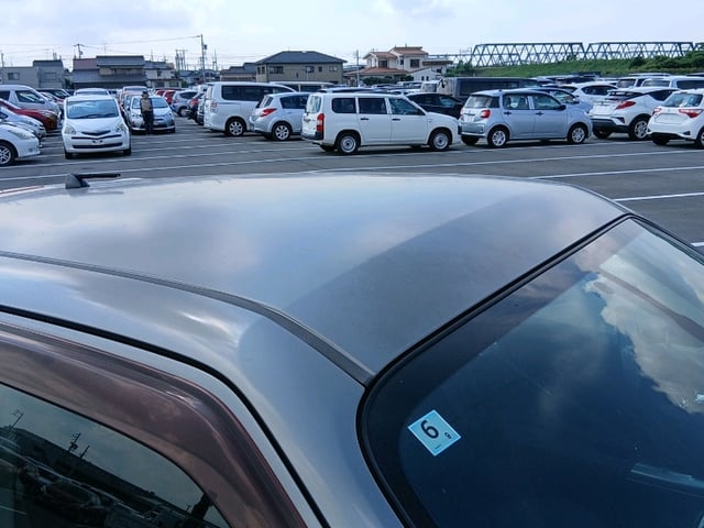 281.jpg