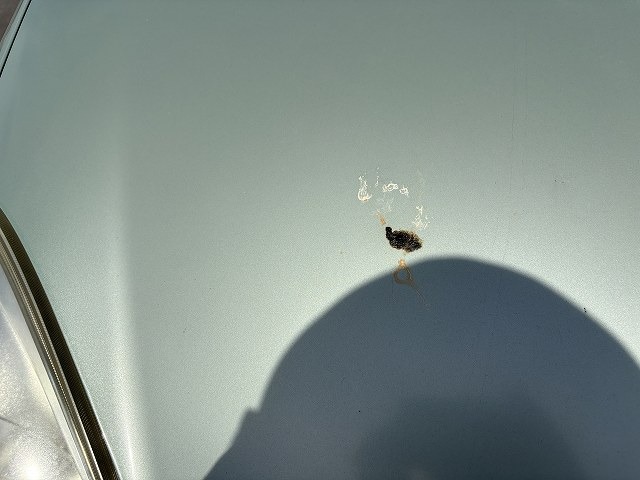 280.jpg