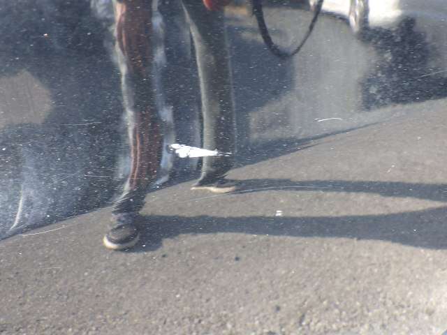 282.jpg