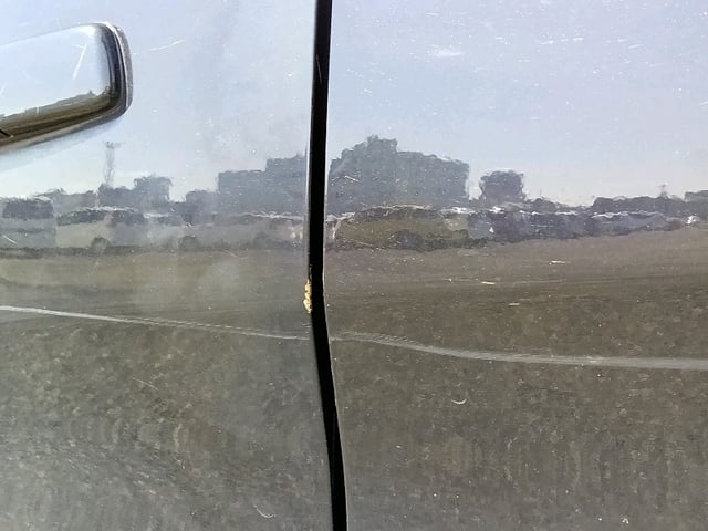290.jpg