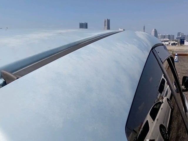 290.jpg