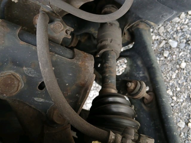 286.jpg