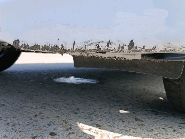 281.jpg