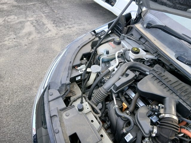 290.jpg