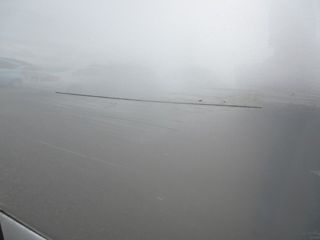 281.jpg