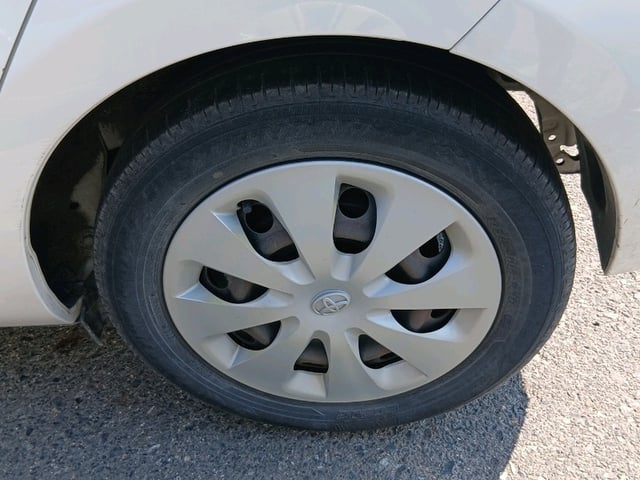 295.jpg