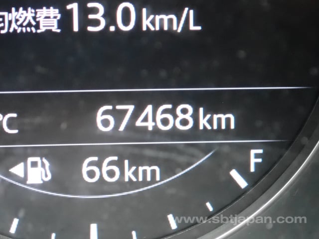 25.jpg