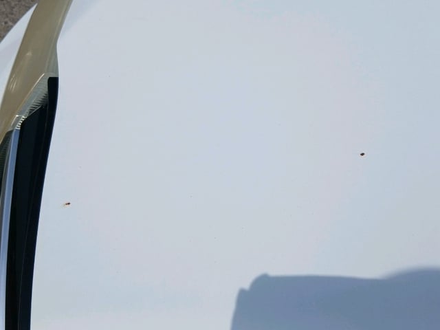 280.jpg