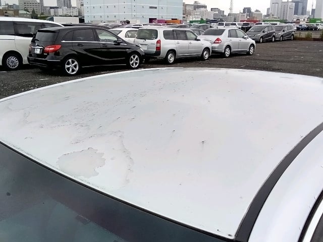 282.jpg
