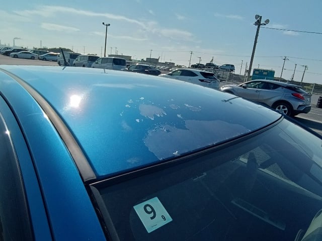 286.jpg
