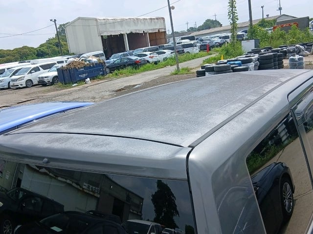 286.jpg