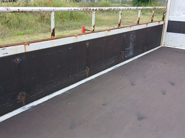 289.jpg
