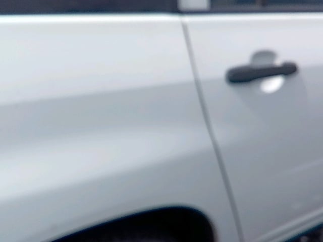 290.jpg
