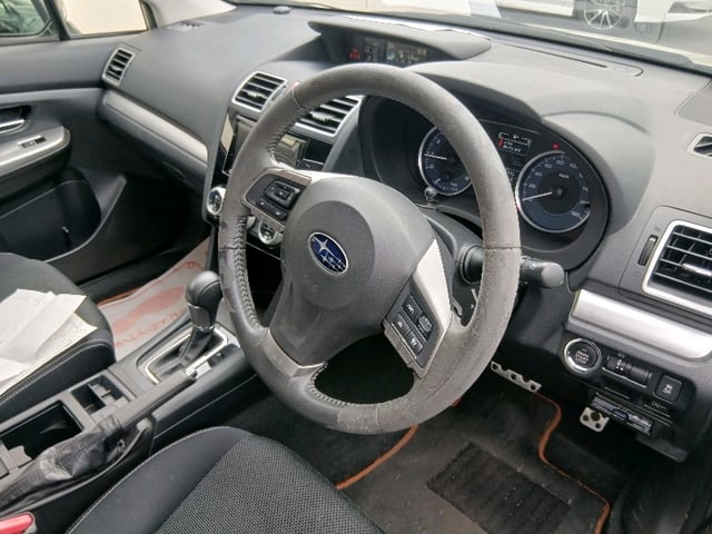 299.jpg
