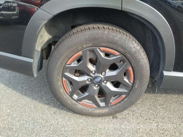 37.jpg