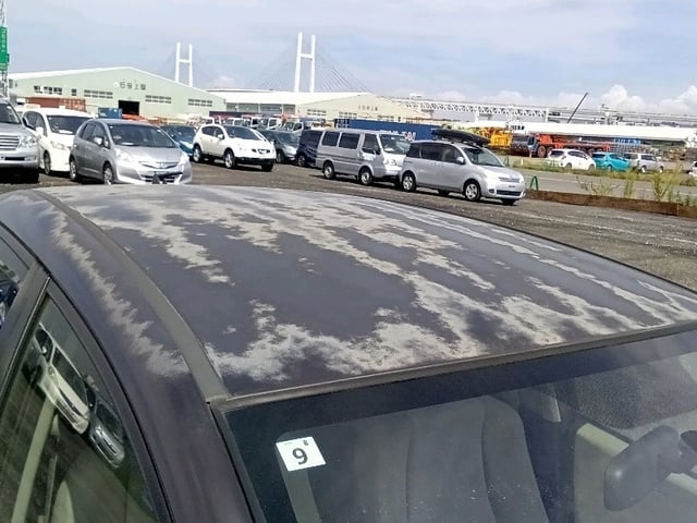 283.jpg