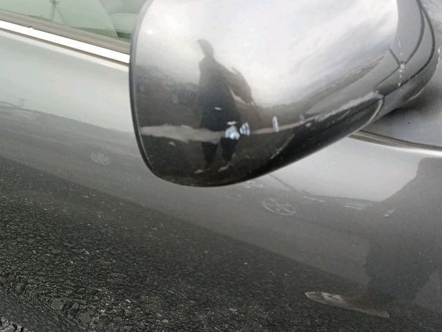 288.jpg