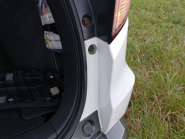 295.jpg