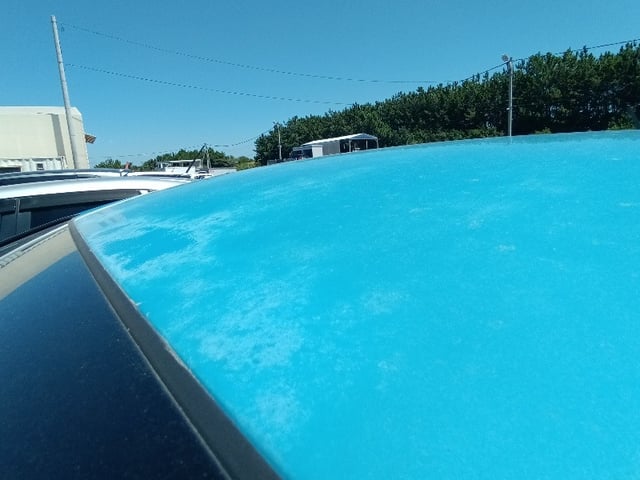 291.jpg