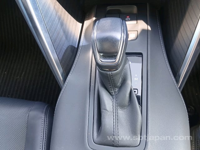 39.jpg
