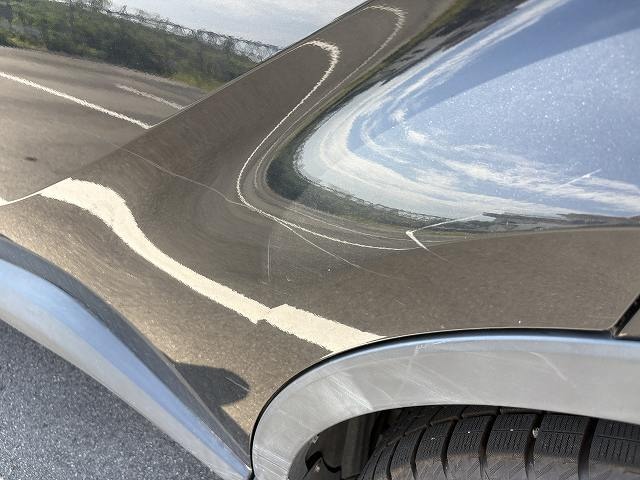 283.jpg