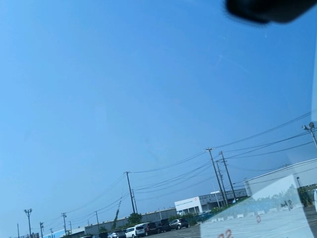 281.jpg